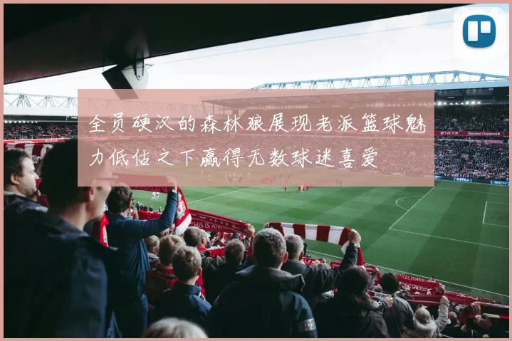 全员硬汉的森林狼展现老派篮球魅力低估之下赢得无数球迷喜爱