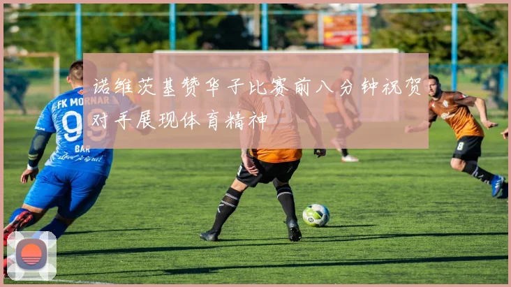诺维茨基赞华子比赛前八分钟祝贺对手展现体育精神